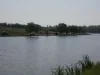 05-balta