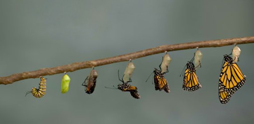 The 3 C’s: Choice, Chance, Change