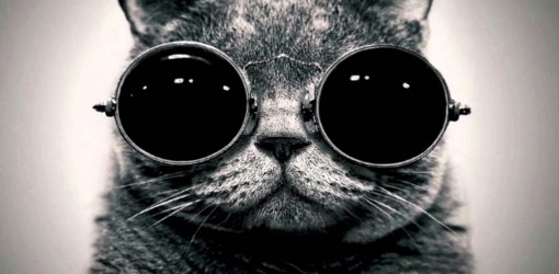 Gramatik — Dungeon Sound