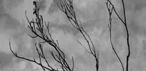Deep Dish with Stevie Nicks — Dreams